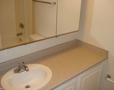 10 E Ontario St Apt 3904 - Photo Thumbnail 7