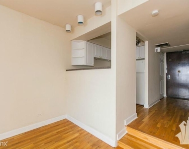 1220 N Lasalle B5 - Photo Thumbnail 3