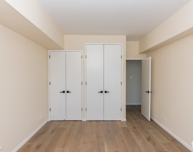 175 E Delaware Pl Apt 4915 - Photo Thumbnail 10