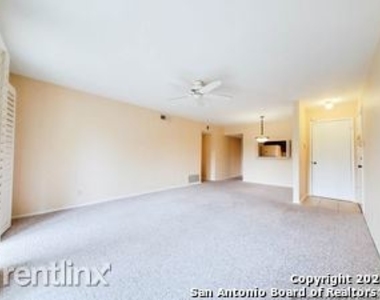 8702 Village Dr Apt 1005 - Photo Thumbnail 3