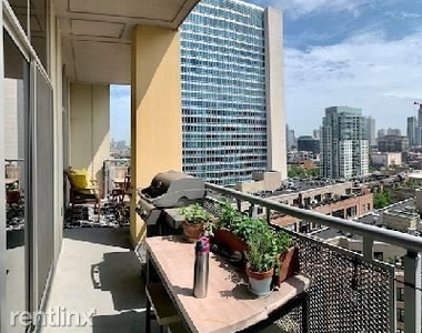 700 N Larrabee St 1208 - Photo Thumbnail 16