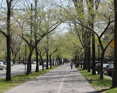 Eastern Parkway & Bedford Avenue - Photo Thumbnail 6