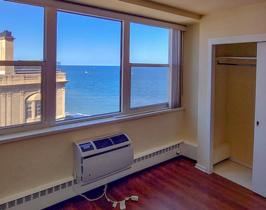 1150 North Lake Shore Drive - Photo Thumbnail 10