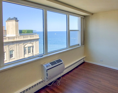 1150 North Lake Shore Drive - Photo Thumbnail 3