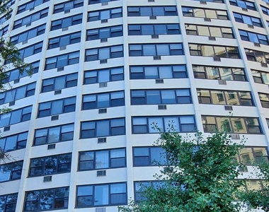 1150 North Lake Shore Drive - Photo Thumbnail 18