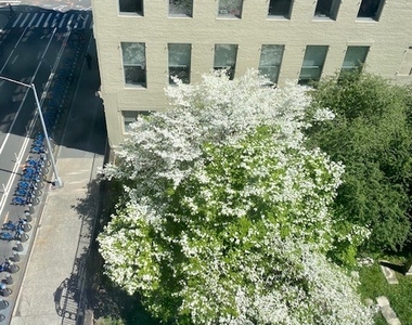 120 West 21st Street - Photo Thumbnail 1