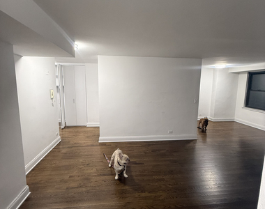 240 East 82nd Street - Photo Thumbnail 17
