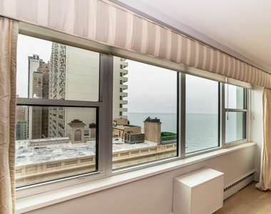 1150 North Lake Shore Drive - Photo Thumbnail 1