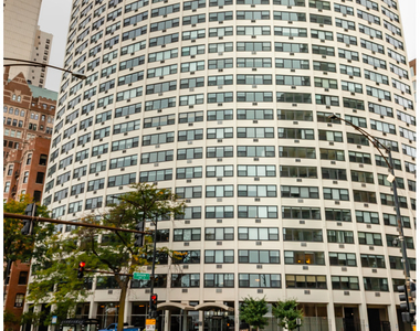 1150 North Lake Shore Drive - Photo Thumbnail 0