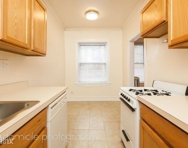 905 W Altgeld St 1b - Photo Thumbnail 6