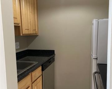 15 E Kirby St Apt 1215 - Photo Thumbnail 2