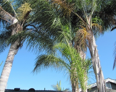 2010 Tustin Avenue - Photo Thumbnail 20