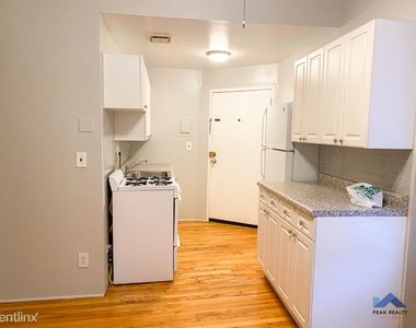 959 W Webster Ave 4f - Photo Thumbnail 1
