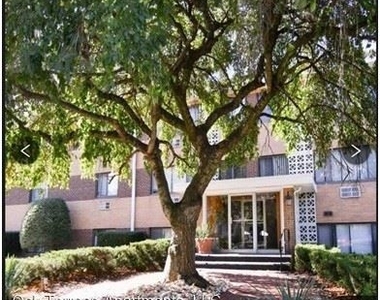 230 Oakland Avenue - Photo Thumbnail 11