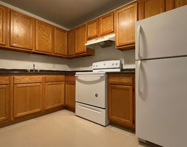 310 Tappan St 3 - Photo Thumbnail 4