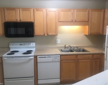 211 E Ohio St Apt 1502 - Photo Thumbnail 3