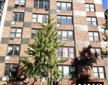 305 West 13th Street - Photo Thumbnail 1