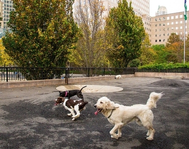 Battery Park City - Photo Thumbnail 13