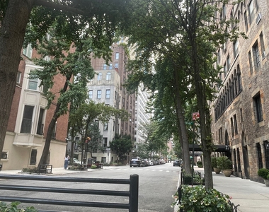 20 Beekman Place - Photo Thumbnail 18
