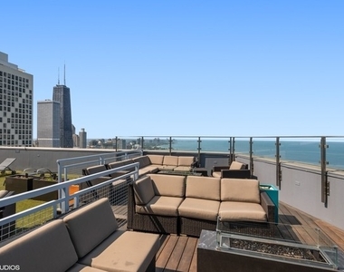 600 N Lake Shore Drive - Photo Thumbnail 12