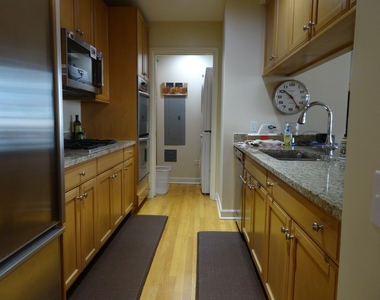 415 E North Water Street - Photo Thumbnail 11