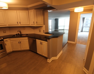 195 N Harbor Drive - Photo Thumbnail 7