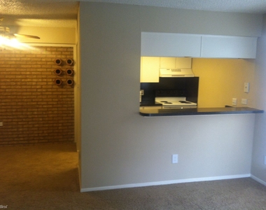 222 E Riverside Dr - Photo Thumbnail 7