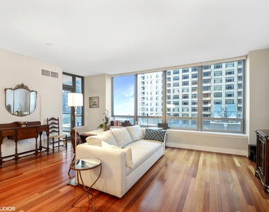 600 N Lake Shore Drive - Photo Thumbnail 31