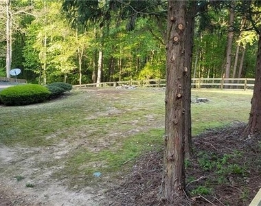 10635 Cauley Creek Drive - Photo Thumbnail 16