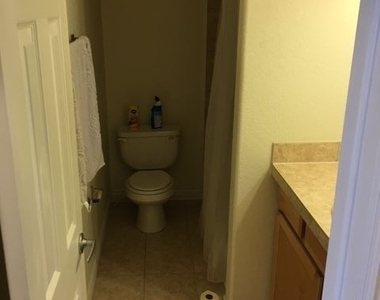 1833 Williams Street #505 - Photo Thumbnail 2