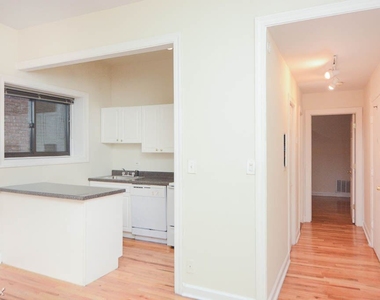 1425 N. Dearborn, Unit 2c - Photo Thumbnail 11