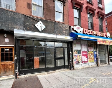 491 Tompkins Ave - Photo Thumbnail 2