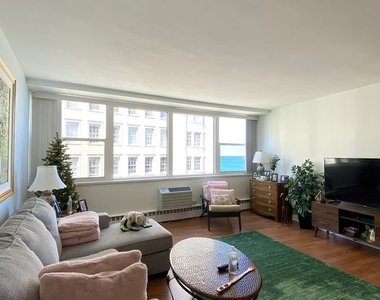 1150 N Lake Shore Drive - Photo Thumbnail 1