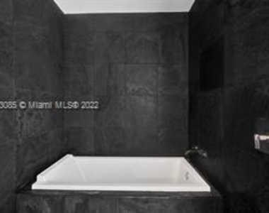 900 Biscayne Blvd Apt 3203 - Photo Thumbnail 13