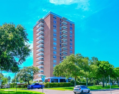 4015 Bayshore Boulevard - Photo Thumbnail 0