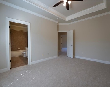 3960 Carissa Trace - Photo Thumbnail 59