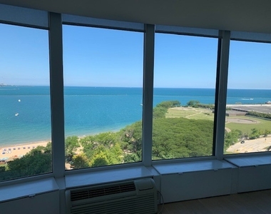 505 N Lake Shore Drive - Photo Thumbnail 8