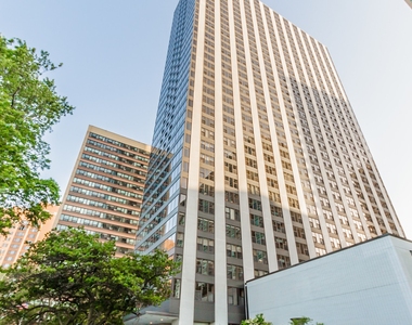 3150 N Lake Shore Drive - Photo Thumbnail 0