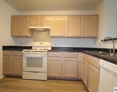 301 Mesquite Circle - Photo Thumbnail 10