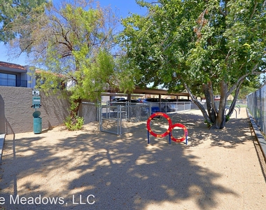 4529 W Ocotillo Rd - Photo Thumbnail 25