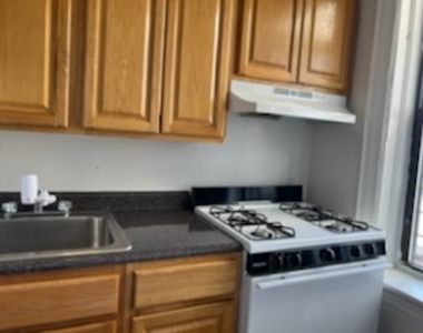 438 52nd Street,  Brooklyn NY 11220 - Photo Thumbnail 3