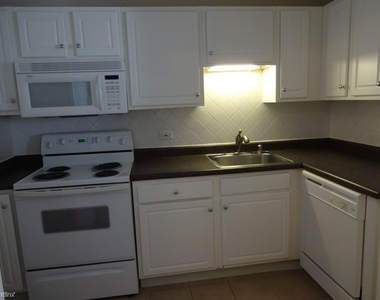 10 E Ontario St Apt 3510 - Photo Thumbnail 3