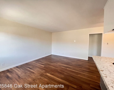 25846 Oak Street - Photo Thumbnail 20