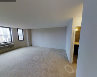 303 W Illinois St 2602 - Photo Thumbnail 7