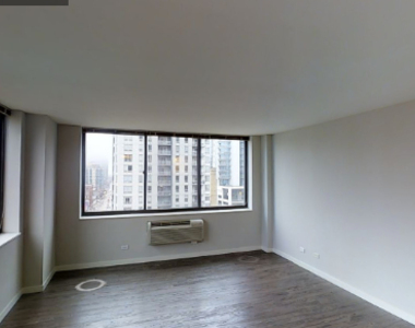 303 W Illinois St 2602 - Photo Thumbnail 20