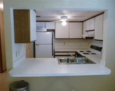 1465 Live Oak Dr - Photo Thumbnail 5