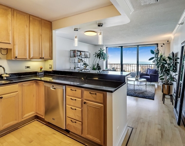 3660 N Lake Shore Drive - Photo Thumbnail 17