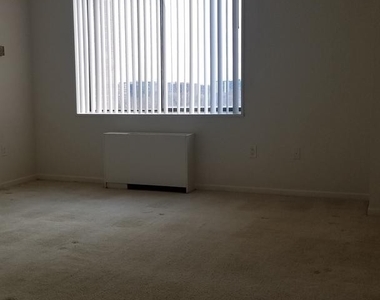 3705 S George Mason Dr #707s - Photo Thumbnail 19