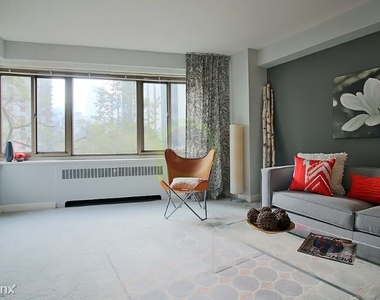 1354 N. Lake Shore Drive - Photo Thumbnail 8