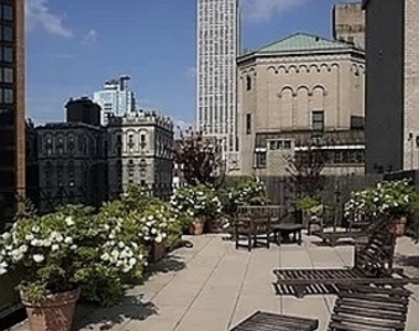 East 34 Street - Photo Thumbnail 7